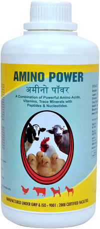 Manufacturers Exporters and Wholesale Suppliers of Amino Acids Vitamins Trace Minerals for Poultry Bangalore Karnataka Amino Acids Vitamins Trace Minerals for Poultry